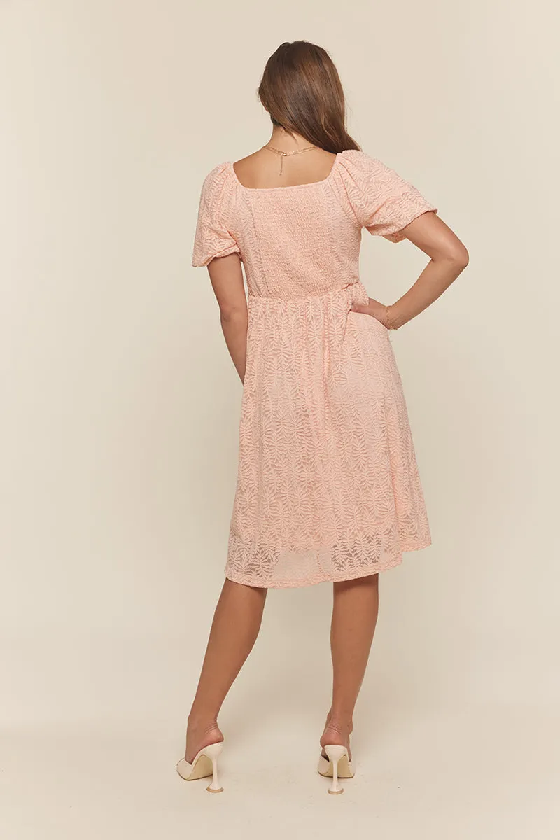 Alexa Lace Dress in Soft Pink