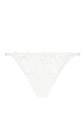 Daisy Brief