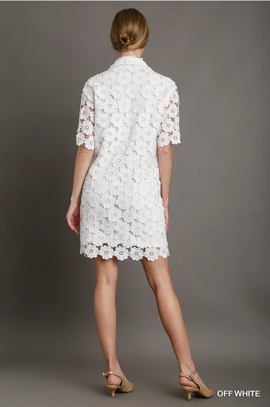 Floral Lace A-Line Dress