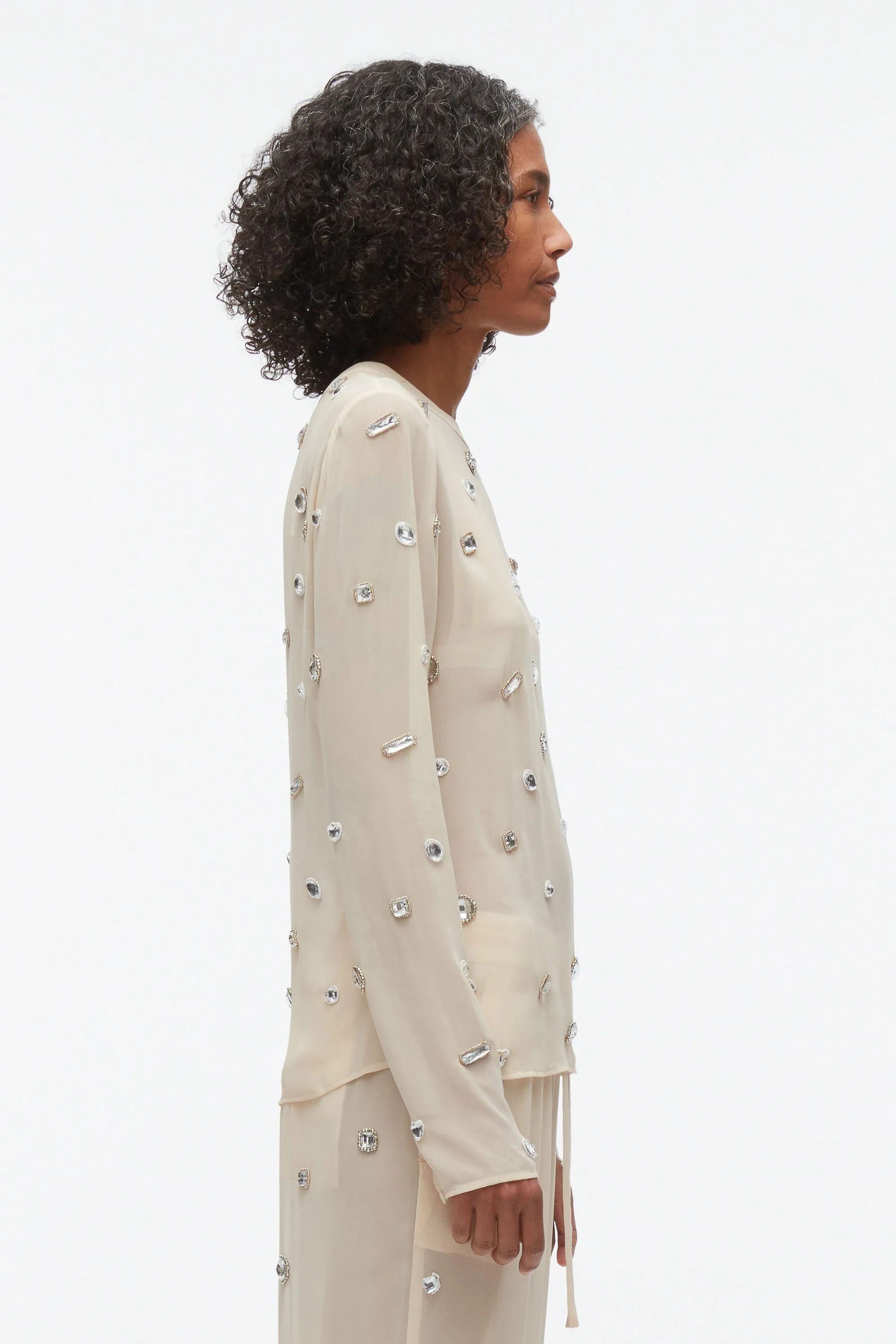 Halo Embroidered Chiffon Long Sleeve Top