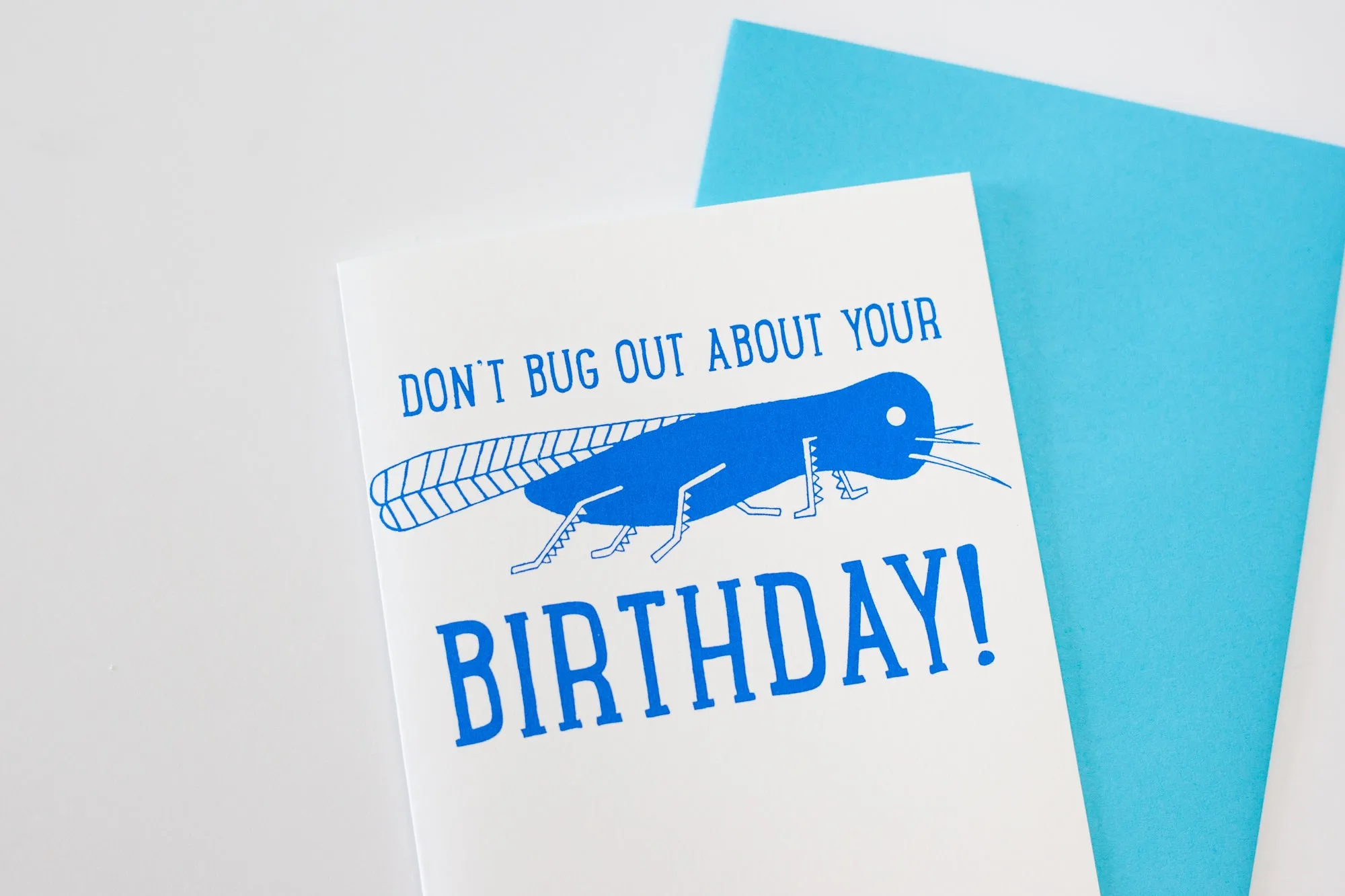 Rhode Island birthday card, Big Blue Bug card, funny birthday card, Nibbles Woodaway card